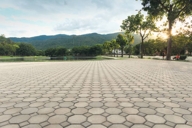 Best Concrete Paver Driveway  in La Vergne, TN
